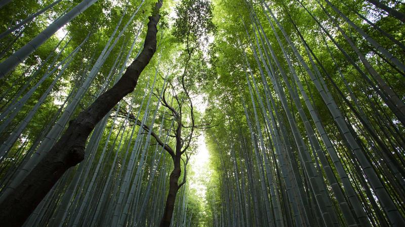 新闻资讯中心展示行业动态